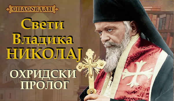 Свети Владика НИКОЛАЈ